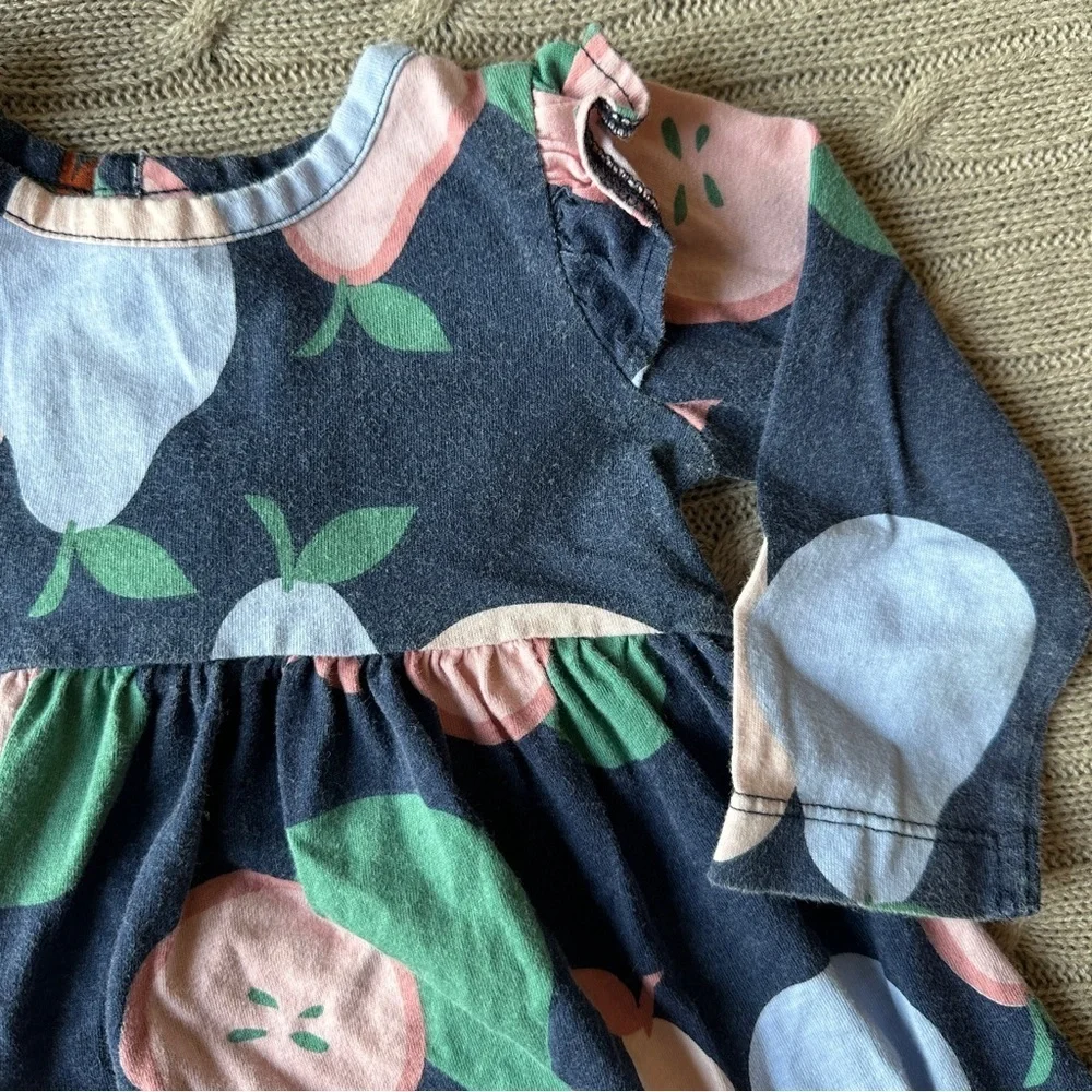 EUC Carter’s Baby Girl Outfit Set, Pink & Blue Pear, 9 Months